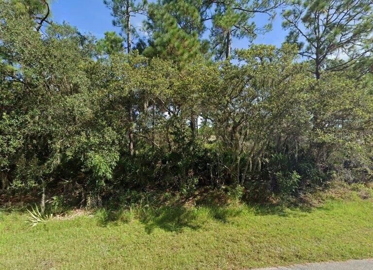 For Sale: $35,000 (0.24 acres)