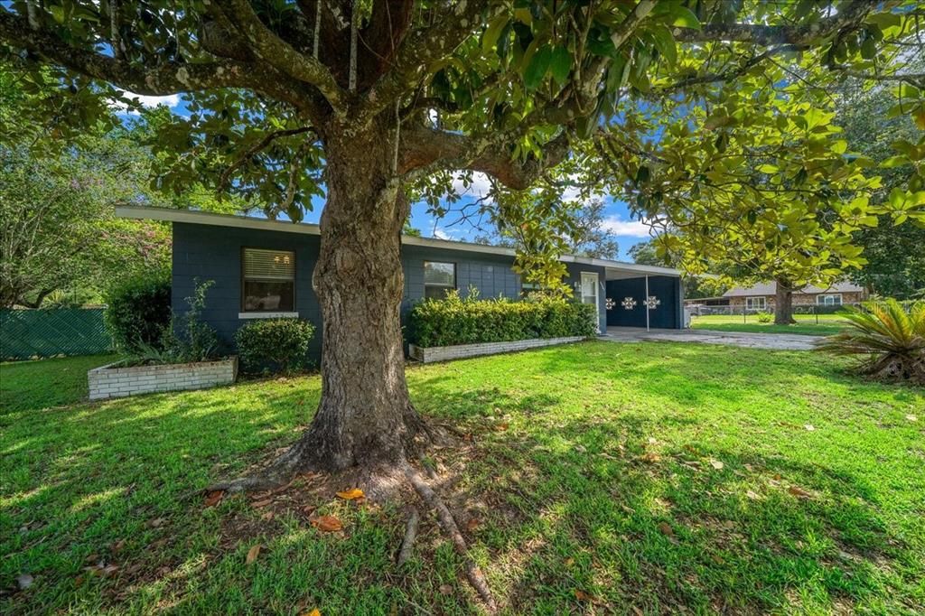 For Sale: $204,900 (3 beds, 1 baths, 1000 Square Feet)