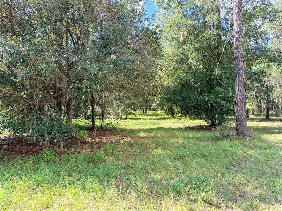 For Sale: $199,000 (9.00 acres)