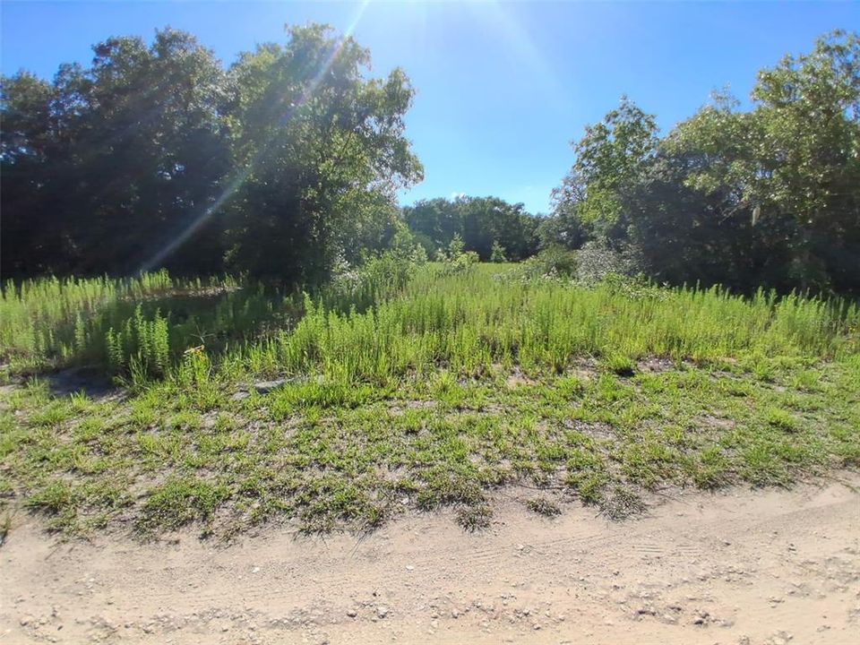 For Sale: $15,500 (0.23 acres)