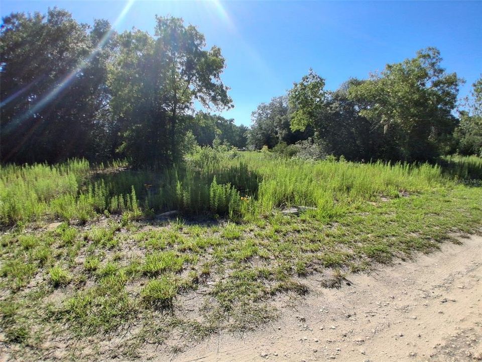 For Sale: $15,500 (0.23 acres)
