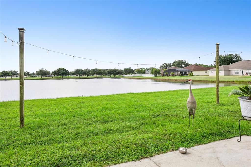 En Venta: $485,000 (4 camas, 2 baños, 2279 Pies cuadrados)