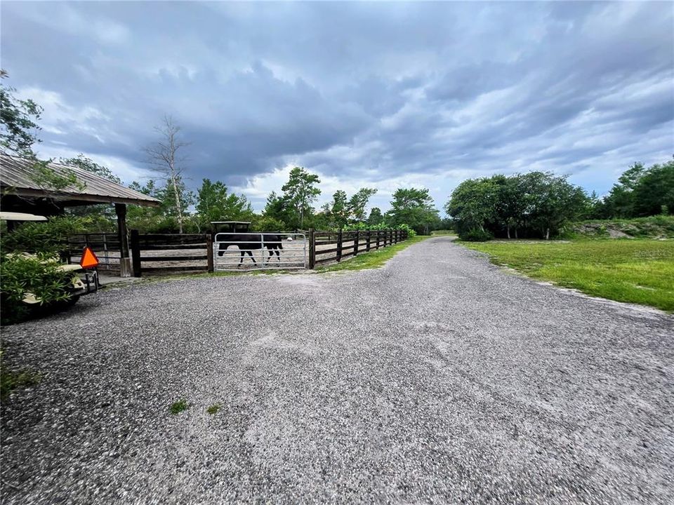 For Sale: $250,000 (2.50 acres)
