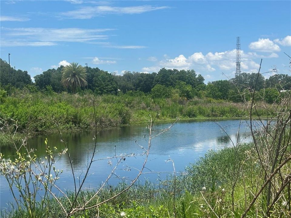 For Sale: $850,000 (4.95 acres)