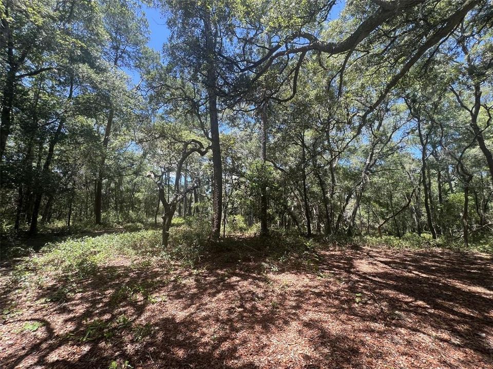 На продажу: $195,000 (2.35 acres)