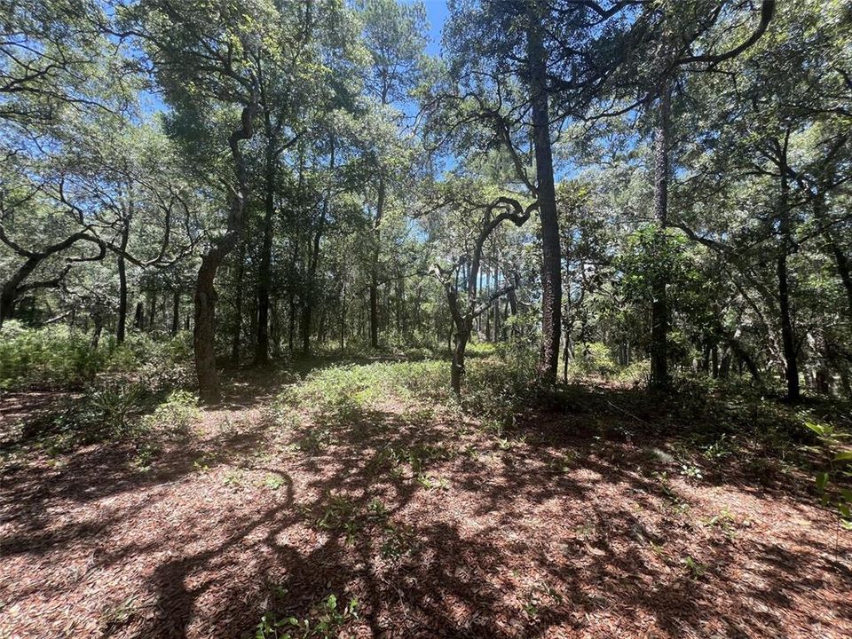 На продажу: $195,000 (2.35 acres)