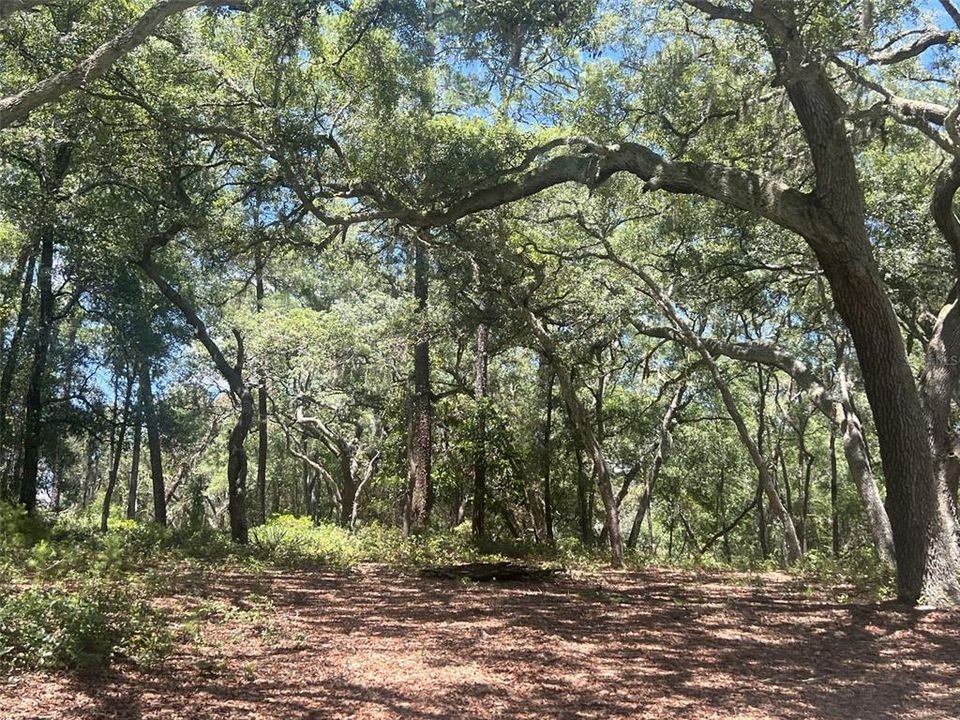 На продажу: $195,000 (2.35 acres)