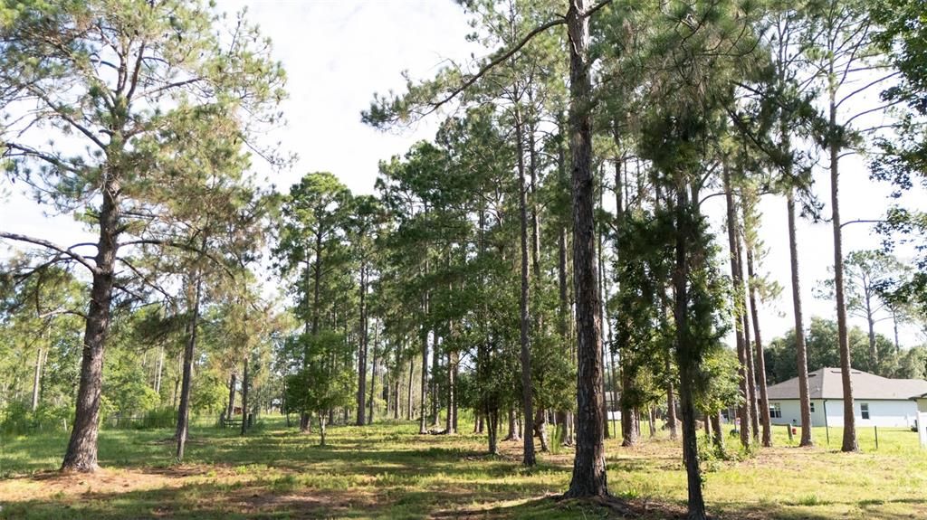 For Sale: $65,000 (0.83 acres)