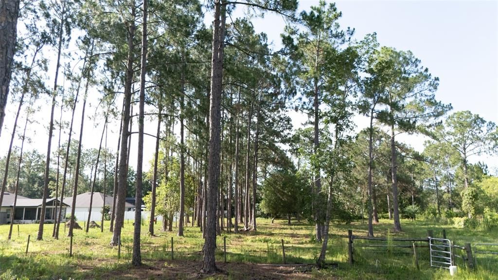 For Sale: $65,000 (0.83 acres)