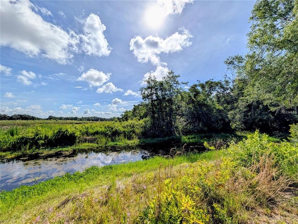 En Venta: $1,000,000 (190.00 acres)