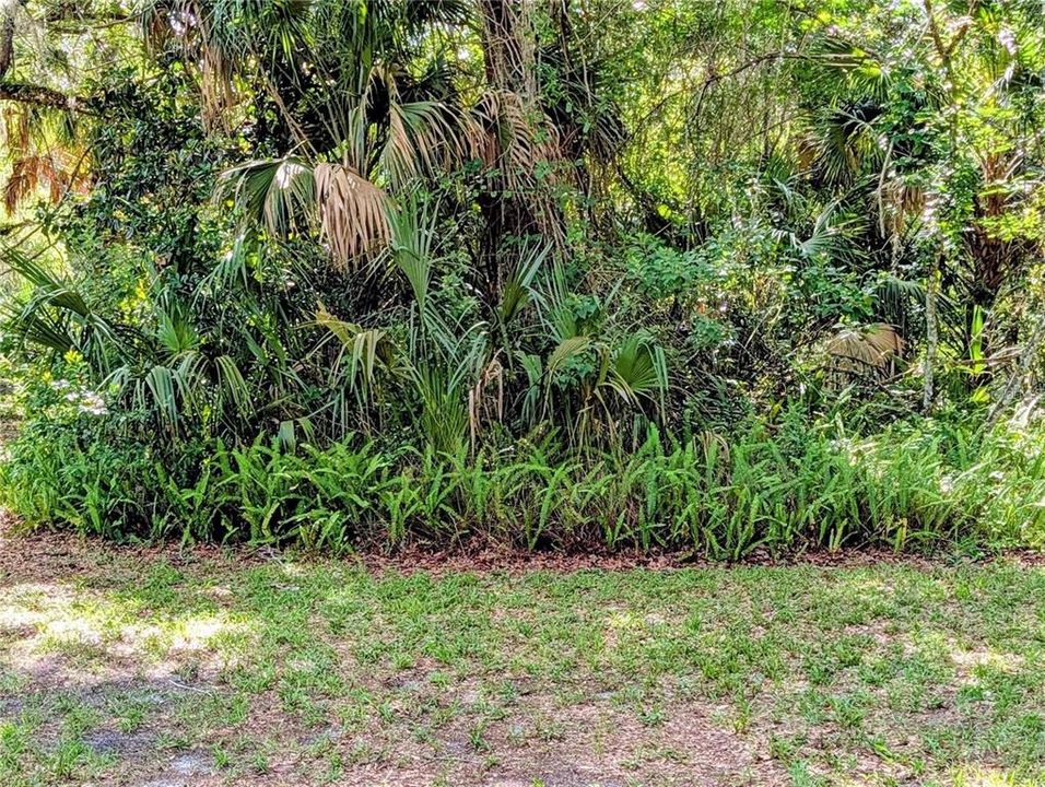 En Venta: $1,000,000 (190.00 acres)