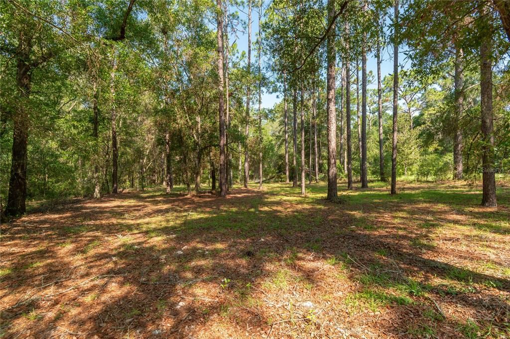 En Venta: $216,000 (2 camas, 2 baños, 1092 Pies cuadrados)