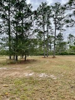 На продажу: $350,000 (2.60 acres)