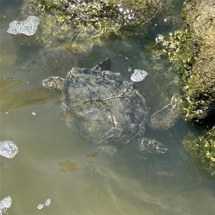 For Sale: $1,200,000 (4 beds, 2 baths, 2281 Square Feet)