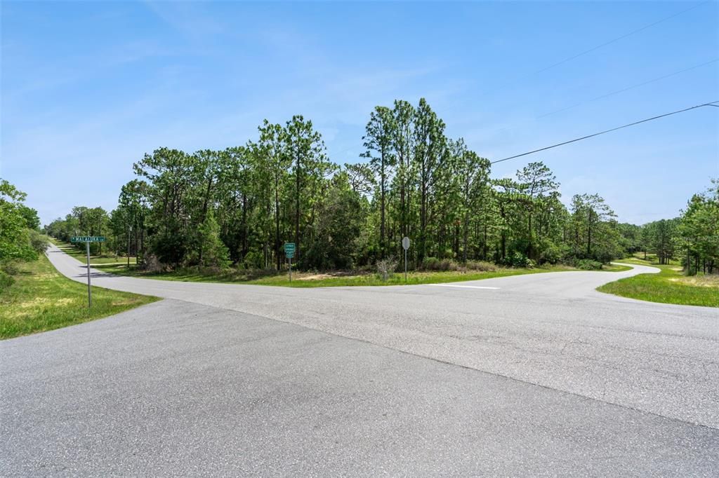 En Venta: $65,000 (1.35 acres)