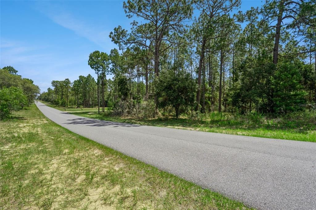 En Venta: $65,000 (1.35 acres)