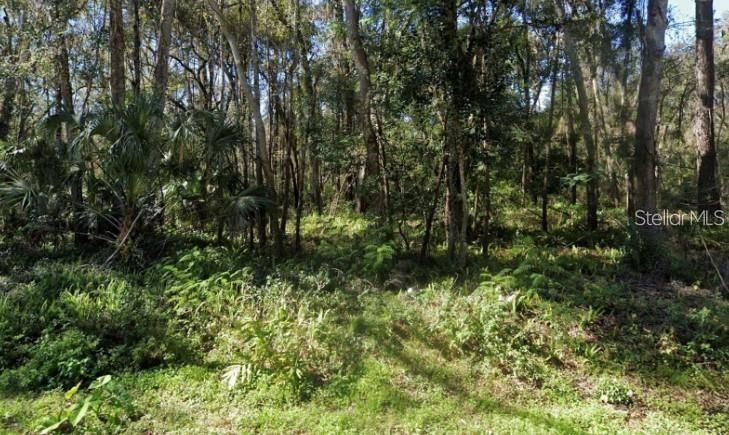 待售: $59,990 (1.00 acres)