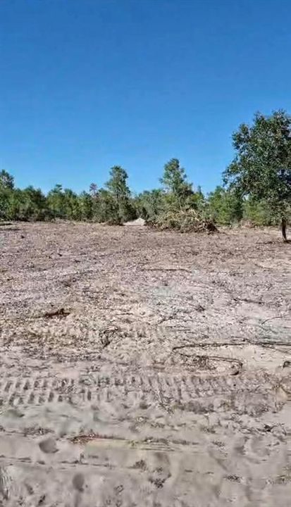 For Sale: $109,000 (1.26 acres)