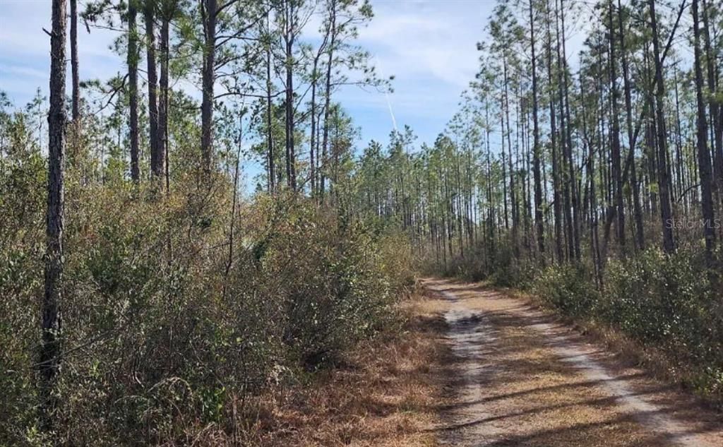En Venta: $86,000 (40.01 acres)