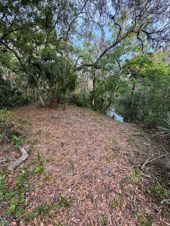 For Sale: $499,000 (2.26 acres)