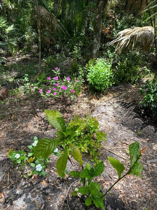 For Sale: $499,000 (2.26 acres)