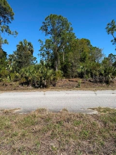 На продажу: $9,900 (0.23 acres)