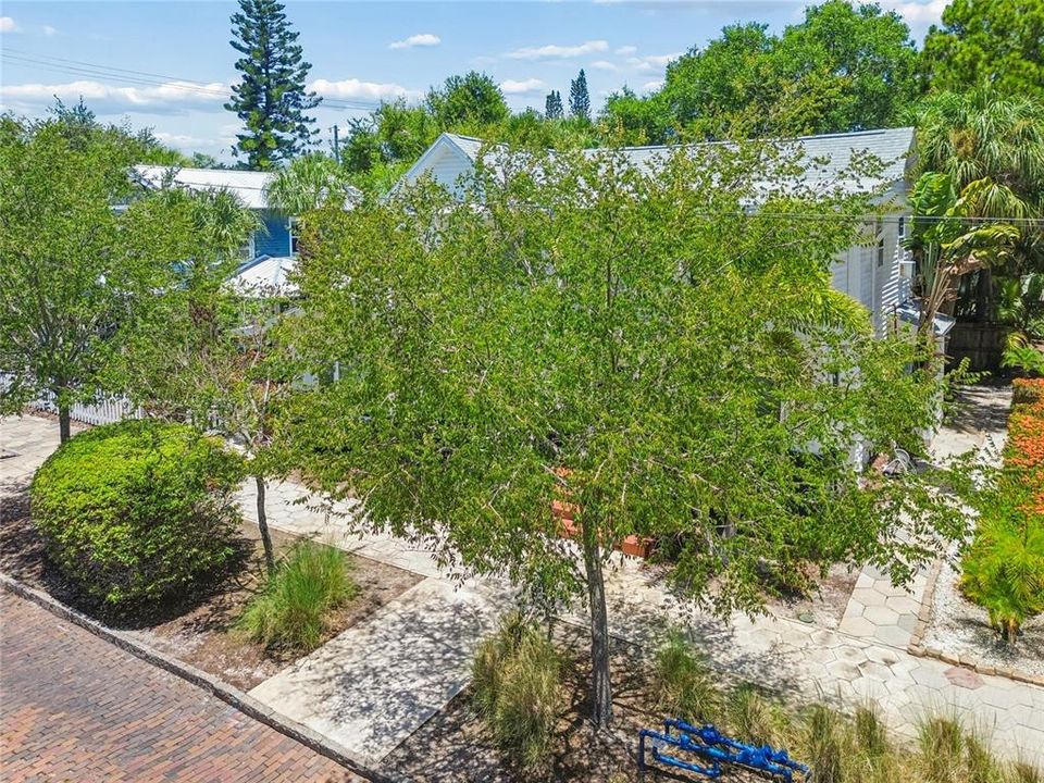 En Venta: $1,200,000 (0 camas, 0 baños, 3234 Pies cuadrados)