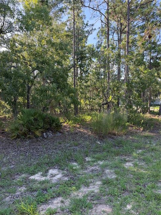 En Venta: $155,000 (1.31 acres)