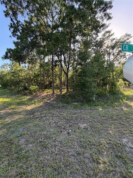 En Venta: $155,000 (1.31 acres)
