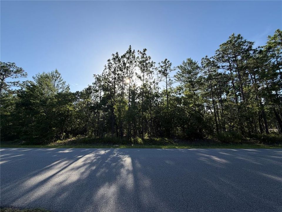 En Venta: $155,000 (1.31 acres)