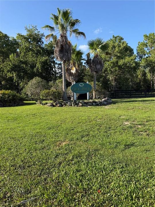 En Venta: $155,000 (1.31 acres)