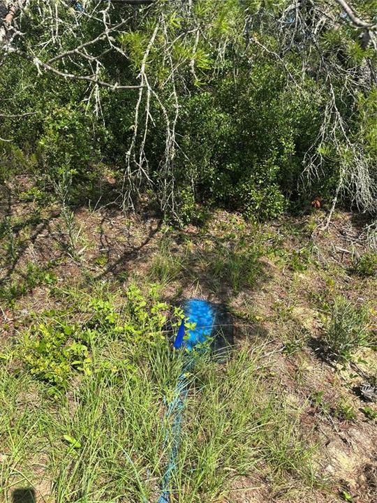 На продажу: $49,500 (0.23 acres)