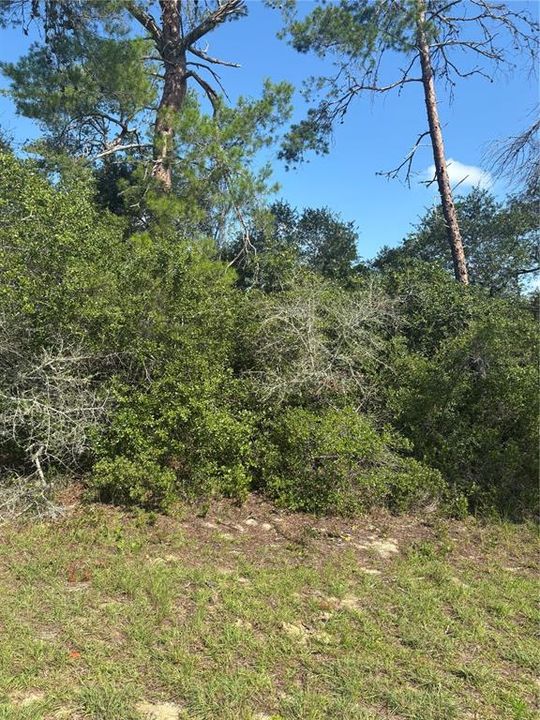 На продажу: $49,500 (0.23 acres)