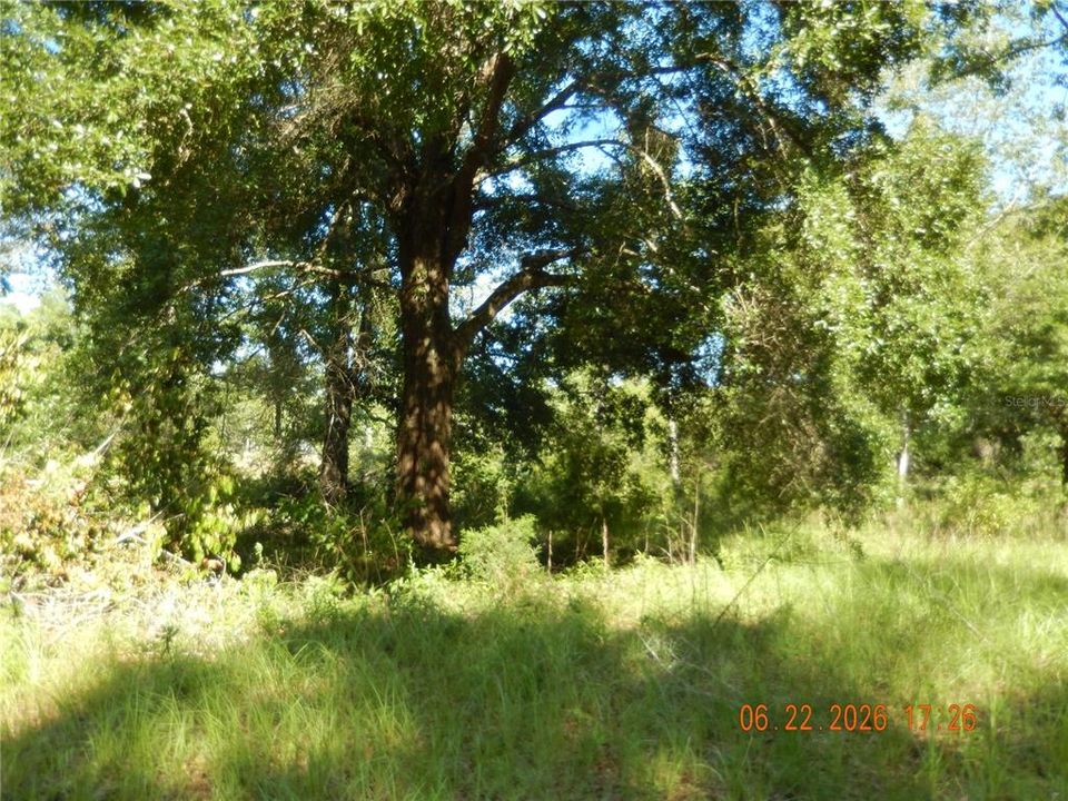 待售: $99,900 (5.00 acres)