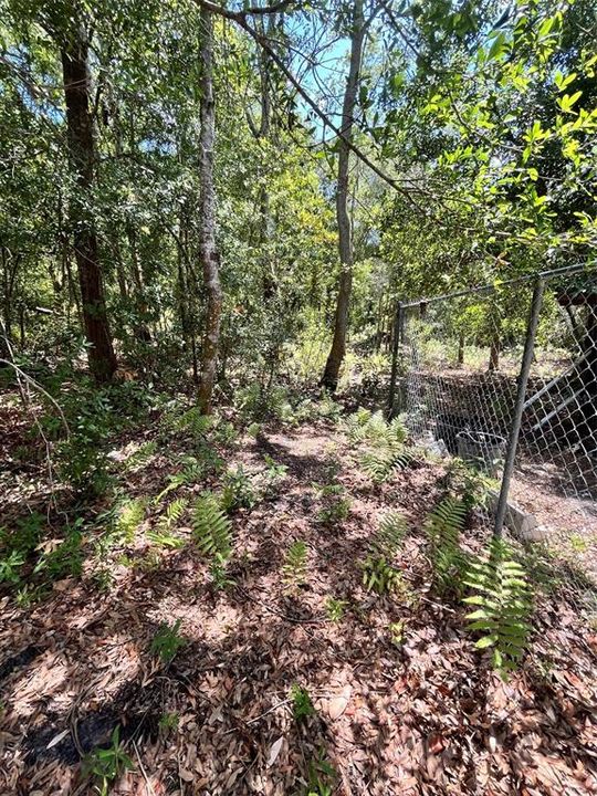 For Sale: $289,000 (1.24 acres)