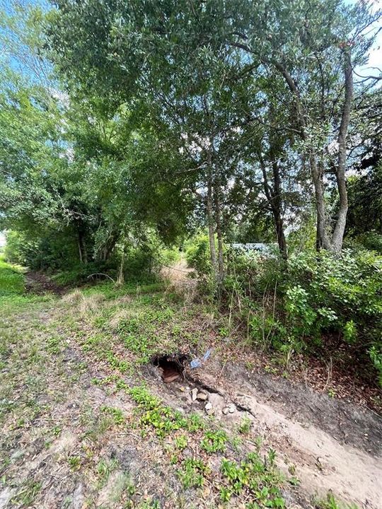 For Sale: $289,000 (1.24 acres)