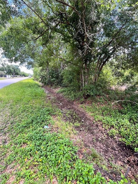For Sale: $289,000 (1.24 acres)