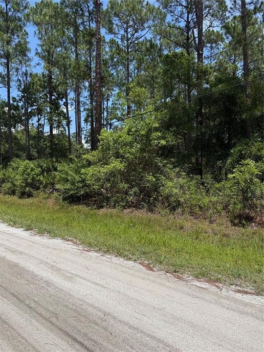 待售: $49,900 (1.14 acres)