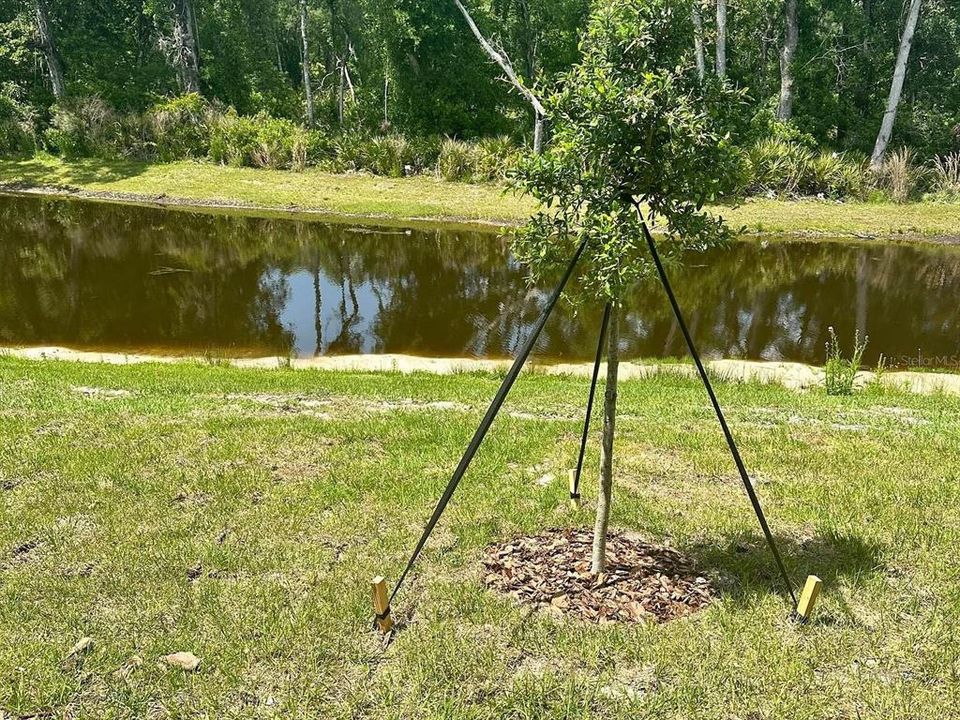 В аренду: $2,350 (3 спален, 2 ванн, 1634 Квадратных фут)