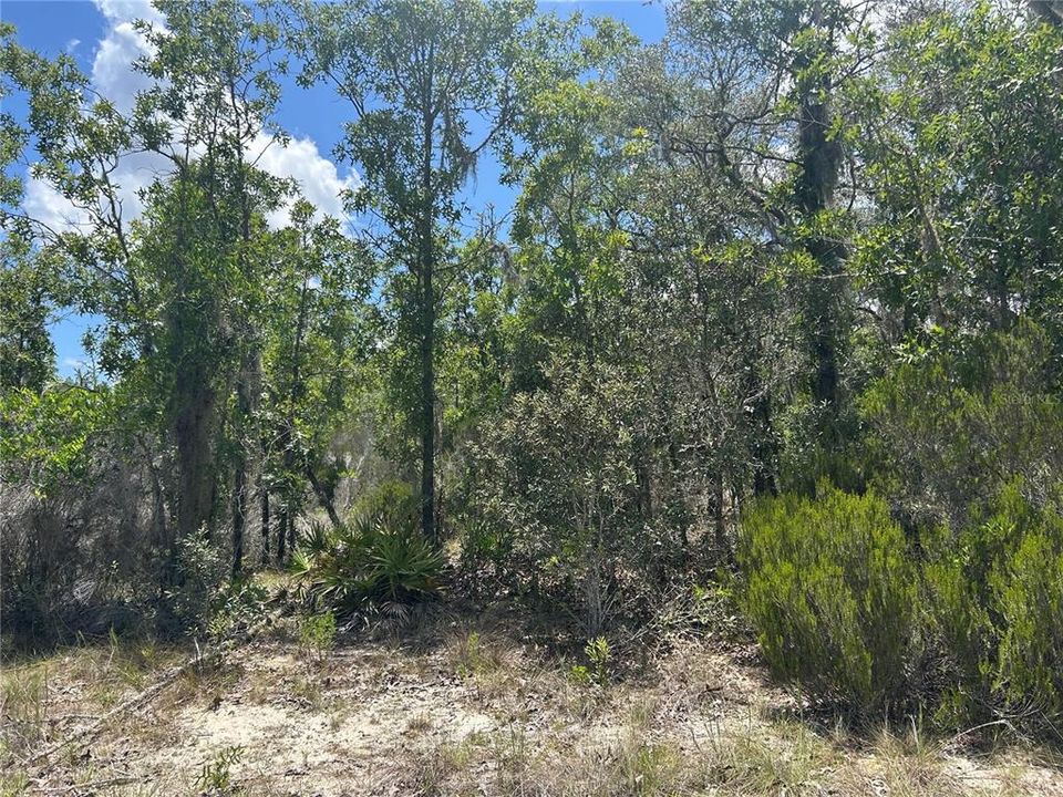 待售: $20,000 (1.48 acres)