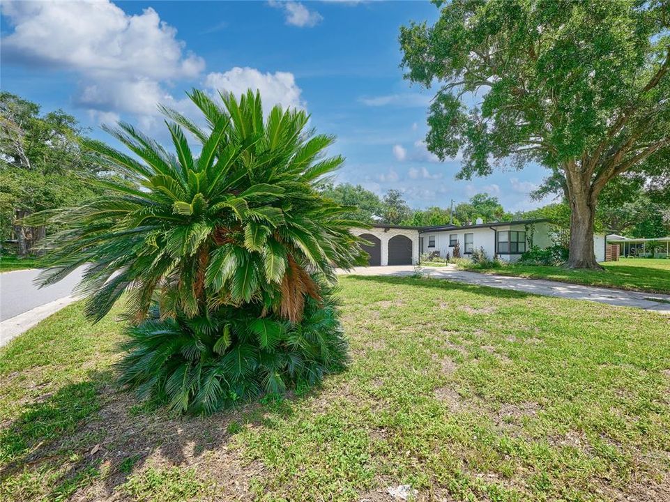 Active With Contract: $525,000 (5 beds, 3 baths, 2226 Square Feet)