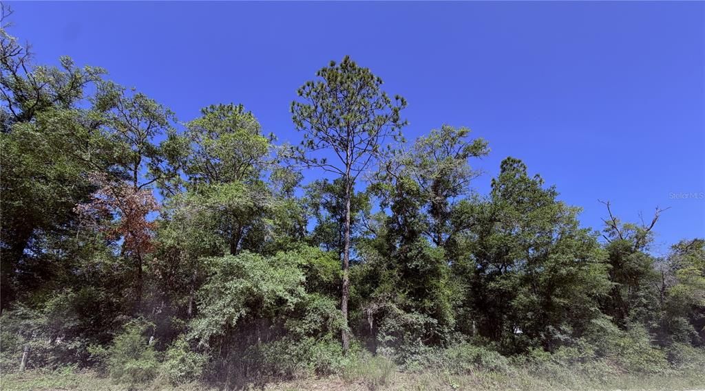 For Sale: $48,000 (2.34 acres)