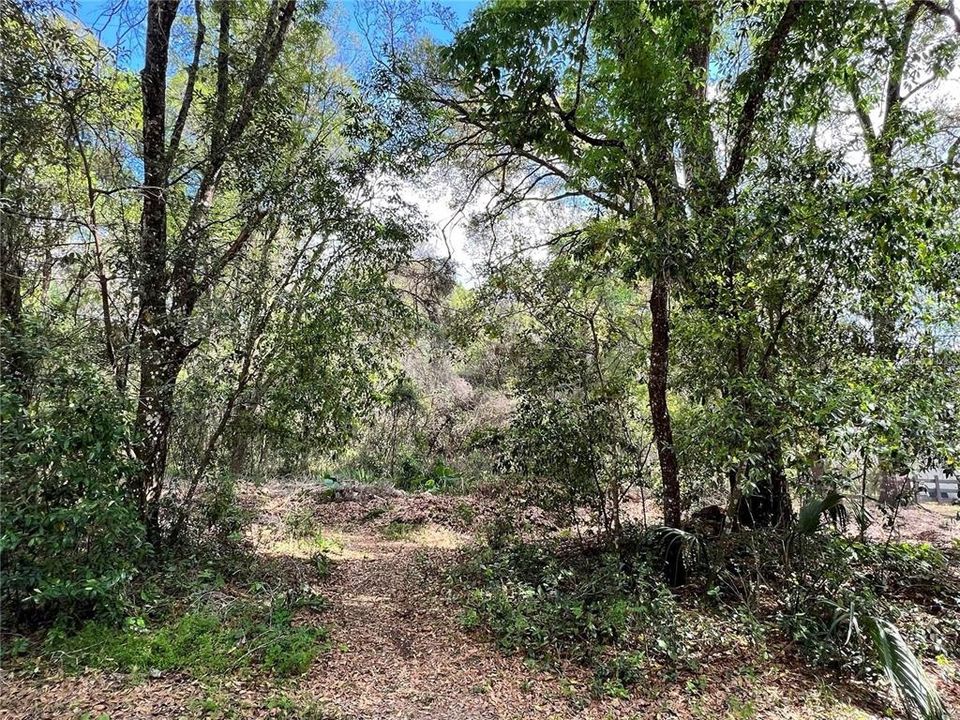 На продажу: $59,900 (0.29 acres)