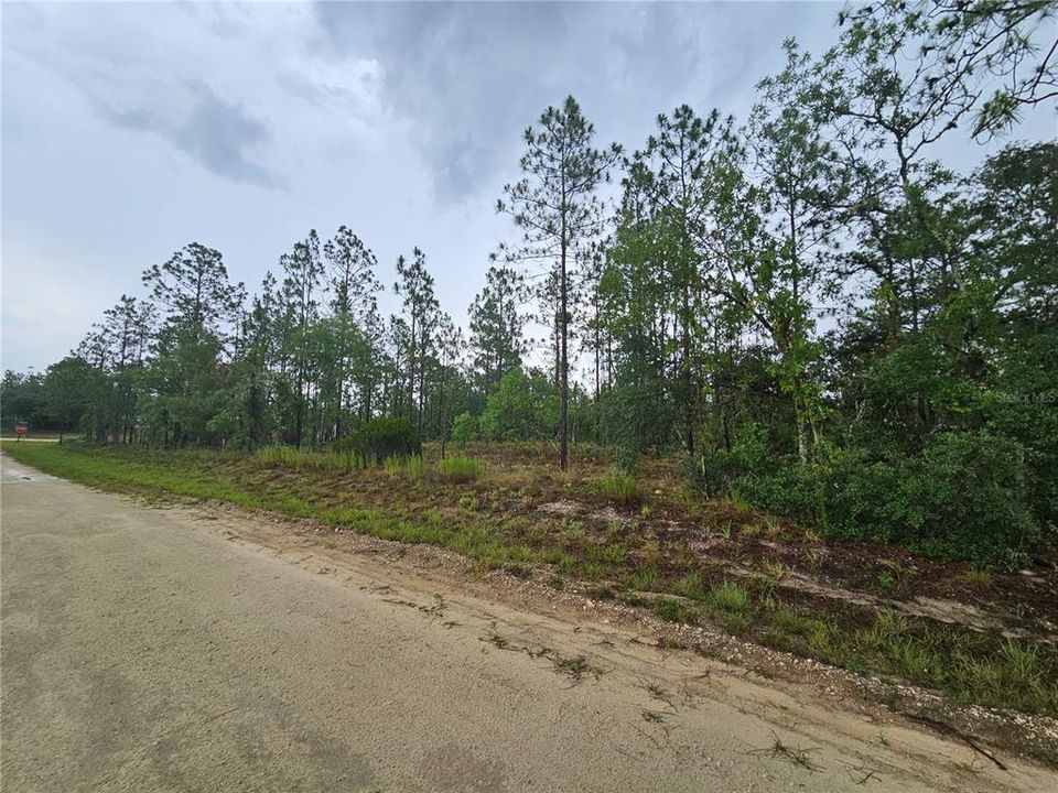 待售: $60,000 (2.50 acres)