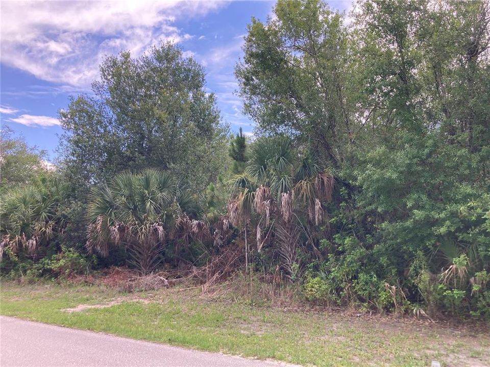 For Sale: $76,000 (1.02 acres)
