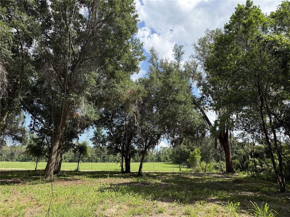 For Sale: $395,000 (3.97 acres)