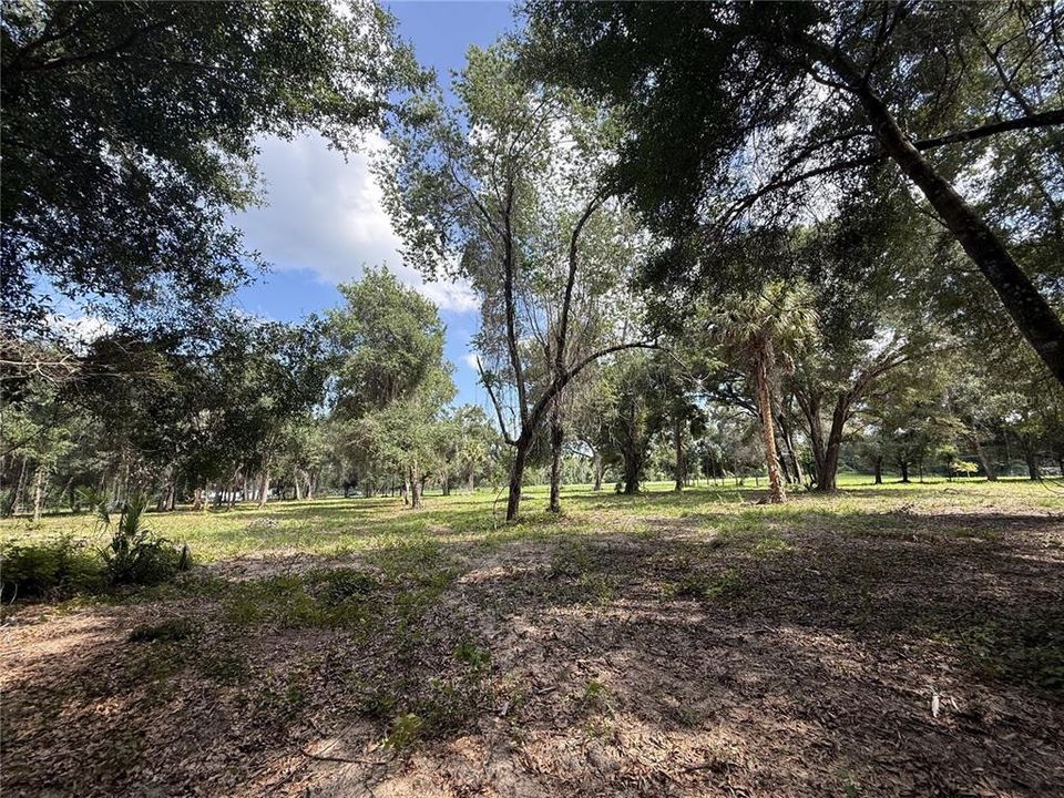 For Sale: $395,000 (3.97 acres)