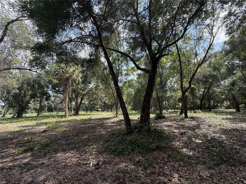 For Sale: $395,000 (3.97 acres)