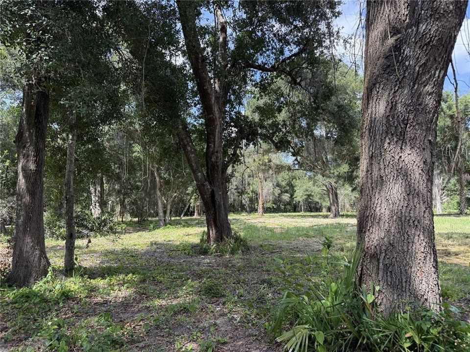 For Sale: $395,000 (3.97 acres)
