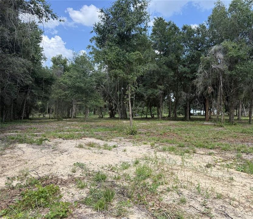 For Sale: $395,000 (3.97 acres)